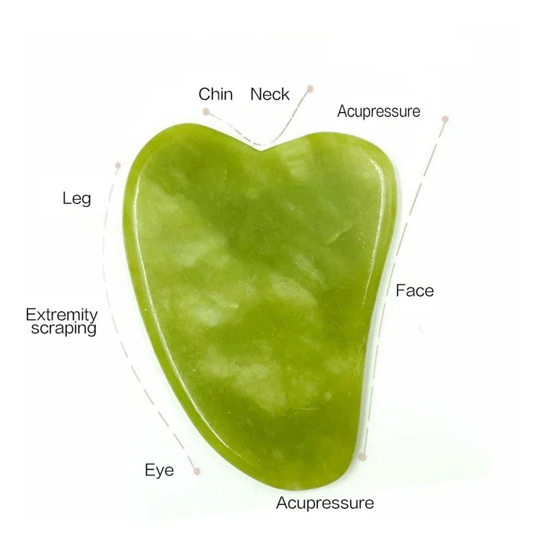 Facial Beauty - Pack Of Jade Face Roller & Gua Sha